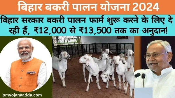 Bihar Bakri Palan Yojana 2024