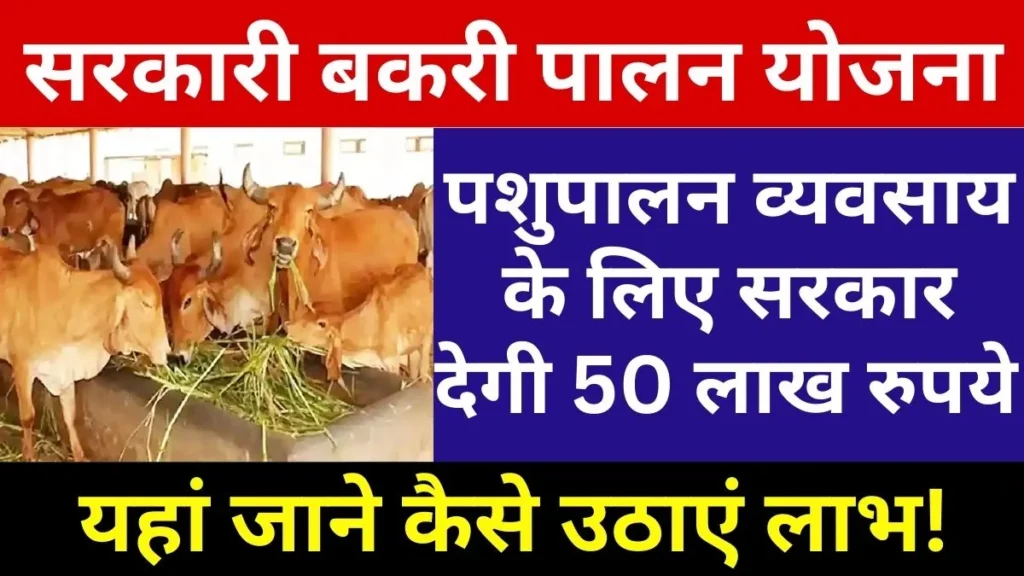 Govt Bakri Palan Scheme