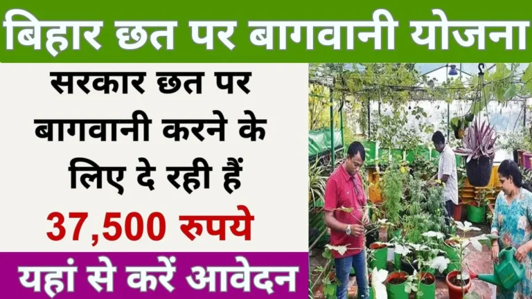 Bihar Chhat Par Bagwani Yojana 2024