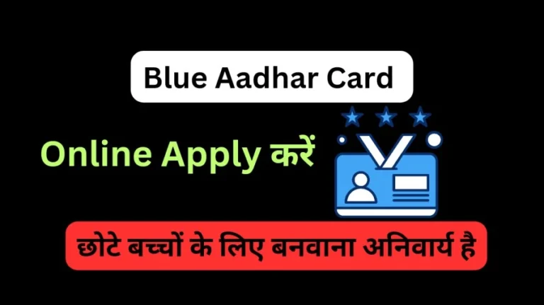 Blue Aadhar Card