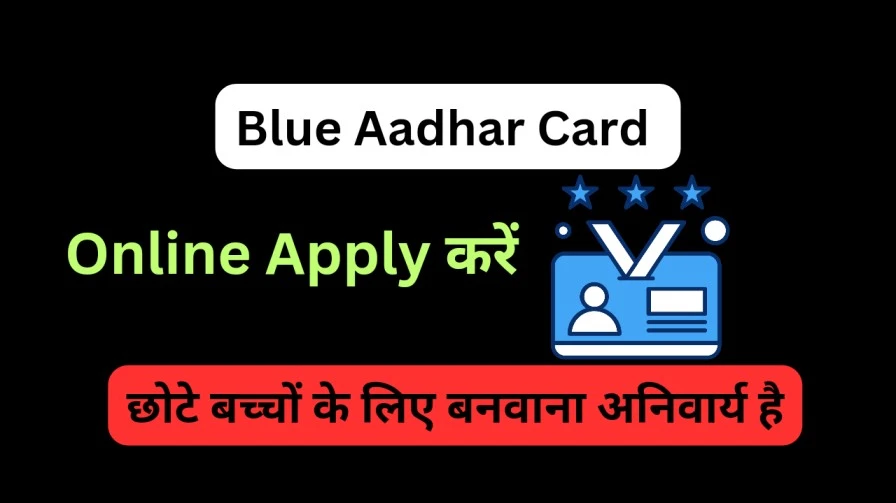 Blue Aadhar Card