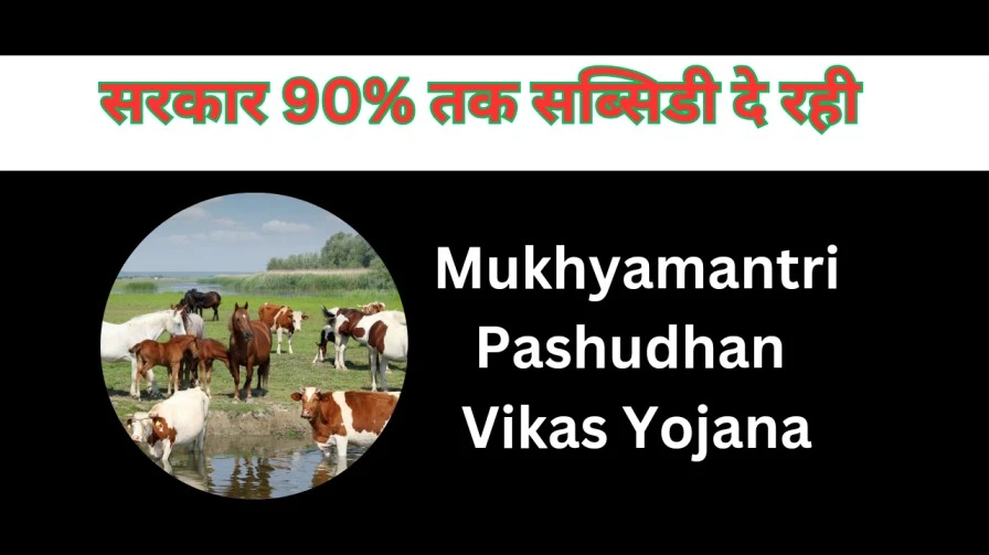 Mukhyamantri Pashudhan Vikas Yojana