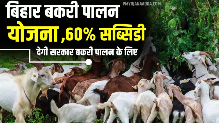 Bihar Bakri Palan Yojana